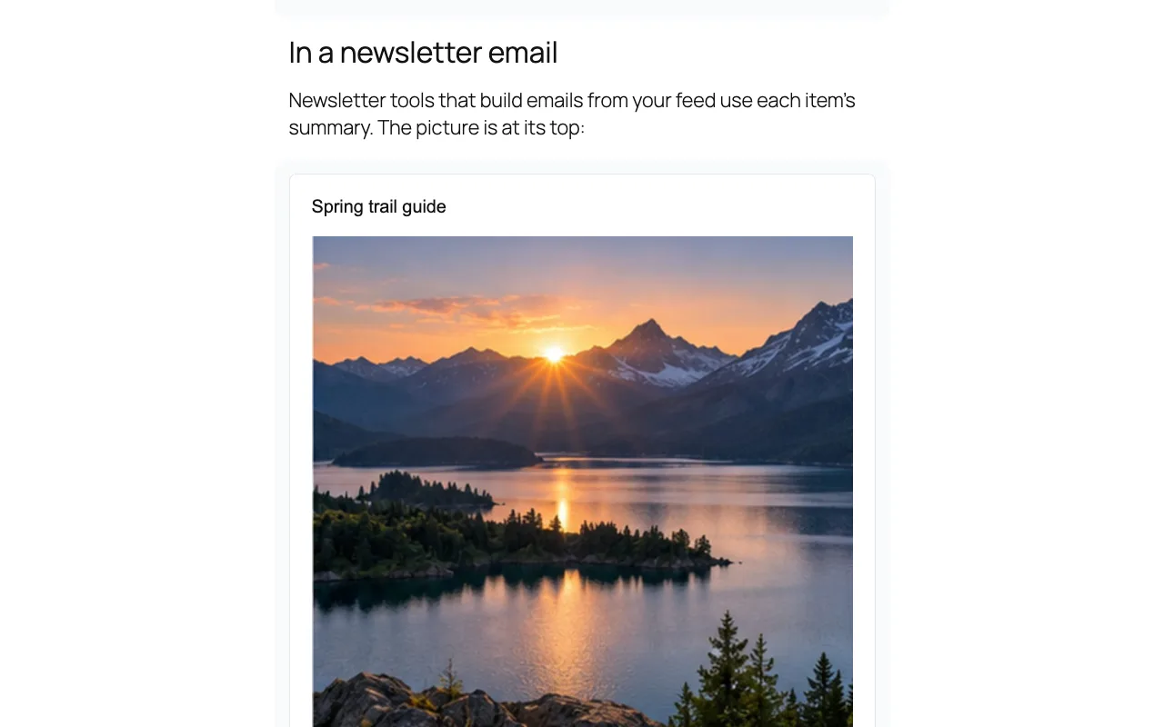 Newsletter emails built from your feed show the picture at the top of each post.