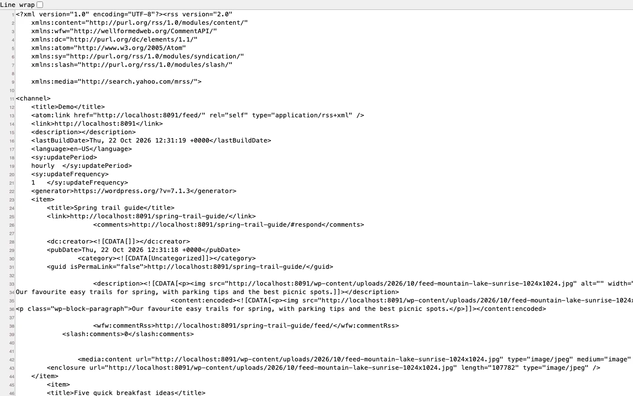 The image is added as media:content, as an enclosure and at the top of the summary, so every service finds it.